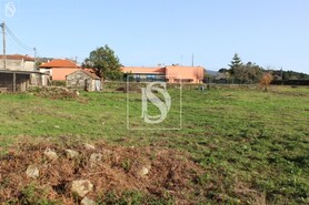 Terreno Rstico T0 - Forjes, Esposende, Braga - Miniatura: 4/22