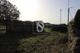 Terreno Rstico T0 - Forjes, Esposende, Braga - Miniatura: 17/22