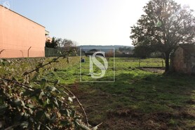 Terreno Rstico T0 - Forjes, Esposende, Braga - Miniatura: 18/22