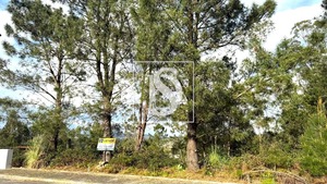 Terreno Rstico T0 - Balazar, Pvoa de Varzim, Porto - Miniatura: 12/12