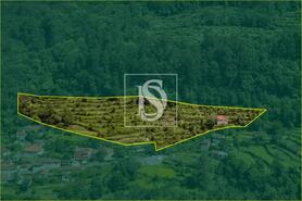 Moradia - Carvalheira, Terras de Bouro, Braga - Miniatura: 1/25