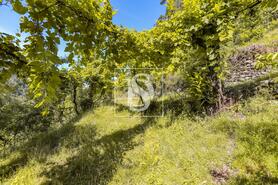 Moradia - Carvalheira, Terras de Bouro, Braga - Miniatura: 9/25