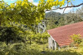 Moradia - Carvalheira, Terras de Bouro, Braga - Miniatura: 10/25