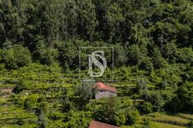 Moradia - Carvalheira, Terras de Bouro, Braga - Miniatura: 15/25