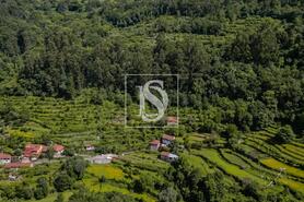 Moradia - Carvalheira, Terras de Bouro, Braga - Miniatura: 21/25