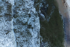 Moradia - Esposende, Esposende, Braga - Miniatura: 51/68