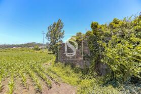 Moradia T2 - Cristelo, Barcelos, Braga - Miniatura: 5/28