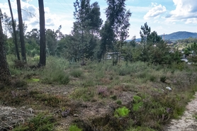 Terreno R�stico - Ucha, Barcelos, Braga - Miniatura: 16/22