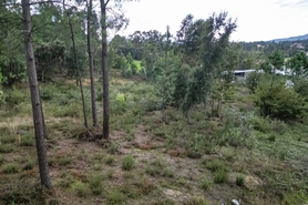 Terreno R�stico - Ucha, Barcelos, Braga - Miniatura: 21/22