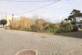 Terreno R�stico - Apulia, Esposende, Braga - Miniatura: 8/9