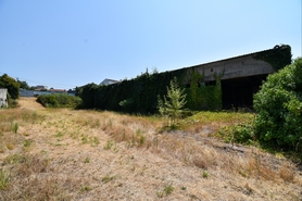 Terreno R�stico - Aves, Santo Tirso, Porto - Miniatura: 2/7