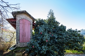 Quinta - Rossas, Vieira do Minho, Braga - Miniatura: 8/45