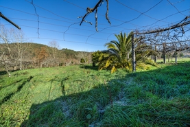 Quinta - Rossas, Vieira do Minho, Braga - Miniatura: 32/45