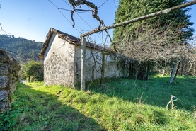 Quinta - Rossas, Vieira do Minho, Braga - Miniatura: 36/45