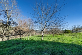 Quinta - Rossas, Vieira do Minho, Braga - Miniatura: 37/45