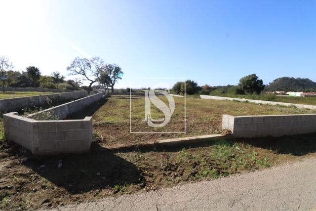 Terreno R�stico - Antas, Esposende, Braga - Imagem grande