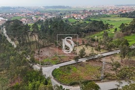 Terreno R�stico T0 - Esposende, Esposende, Braga - Miniatura: 4/8