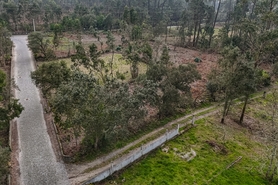 Terreno R�stico - Esposende, Esposende, Braga - Miniatura: 5/8