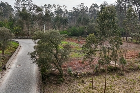 Terreno R�stico - Esposende, Esposende, Braga - Miniatura: 7/8