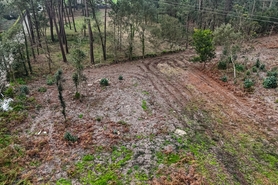 Terreno R�stico - Esposende, Esposende, Braga - Miniatura: 8/8