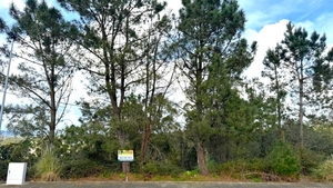 Terreno R�stico - Balazar, P�voa de Varzim, Porto - Miniatura: 10/12