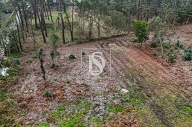 Terreno R�stico T0 - Esposende, Esposende, Braga - Miniatura: 5/8