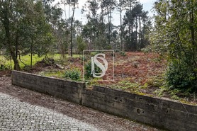 Terreno R�stico T0 - Esposende, Esposende, Braga - Miniatura: 8/8