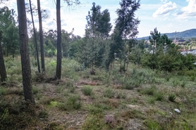Terreno R�stico - Ucha, Barcelos, Braga - Miniatura: 17/22
