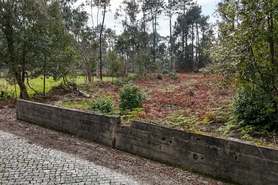 Terreno R�stico - Esposende, Esposende, Braga - Miniatura: 3/8