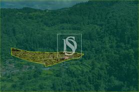 Moradia T2 - Carvalheira, Terras de Bouro, Braga - Miniatura: 2/25