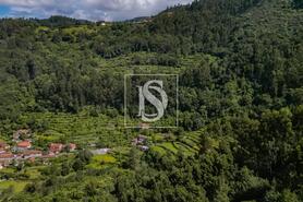 Moradia T2 - Carvalheira, Terras de Bouro, Braga - Miniatura: 22/25