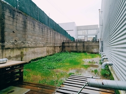 Armaz�m - Esposende, Esposende, Braga - Miniatura: 24/24