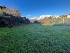 Terreno R�stico - Areias de Vilar, Barcelos, Braga - Miniatura: 2/3