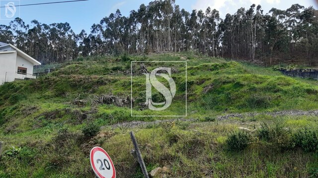 Terreno Rústico T0 - Alvelos, Barcelos, Braga - Imagem grande