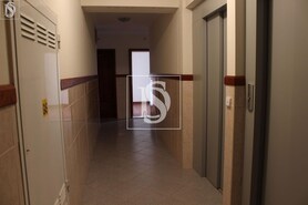 Apartamento T3 - Darque, Viana do Castelo, Viana do Castelo - Miniatura: 19/24