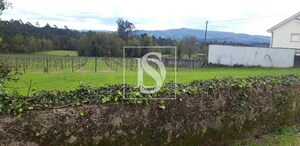 Terreno Rstico T0 - Ucha, Barcelos, Braga - Miniatura: 3/3