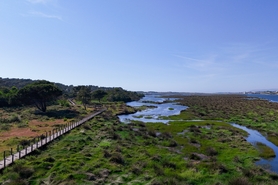 Moradia T4 - Apulia, Esposende, Braga - Miniatura: 25/38