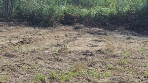Terreno R�stico - Areias, Barcelos, Braga - Miniatura: 6/11