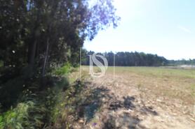 Terreno R�stico - Palmeira de Faro, Esposende, Braga - Miniatura: 2/3