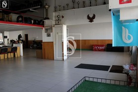 Loja T0 - Darque, Viana do Castelo, Viana do Castelo - Miniatura: 5/16