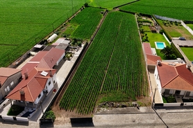 Terreno R�stico - Rio Mau, Vila do Conde, Porto - Miniatura: 22/23