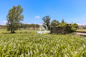 Moradia T2 - Cristelo, Barcelos, Braga - Miniatura: 7/28