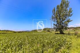 Moradia T2 - Cristelo, Barcelos, Braga - Miniatura: 9/28