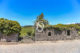 Moradia T2 - Cristelo, Barcelos, Braga - Miniatura: 3/28