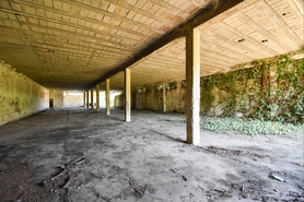 Terreno R�stico - Aves, Santo Tirso, Porto - Miniatura: 3/7