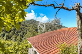 Moradia T2 - Carvalheira, Terras de Bouro, Braga - Miniatura: 11/25