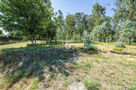 Terreno R�stico - Lij�, Barcelos, Braga - Miniatura: 7/25