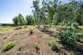 Terreno R�stico - Lij�, Barcelos, Braga - Miniatura: 8/25