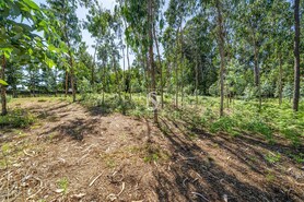 Terreno R�stico - Lij�, Barcelos, Braga - Miniatura: 9/25
