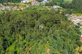 Terreno R�stico - Lij�, Barcelos, Braga - Miniatura: 23/25